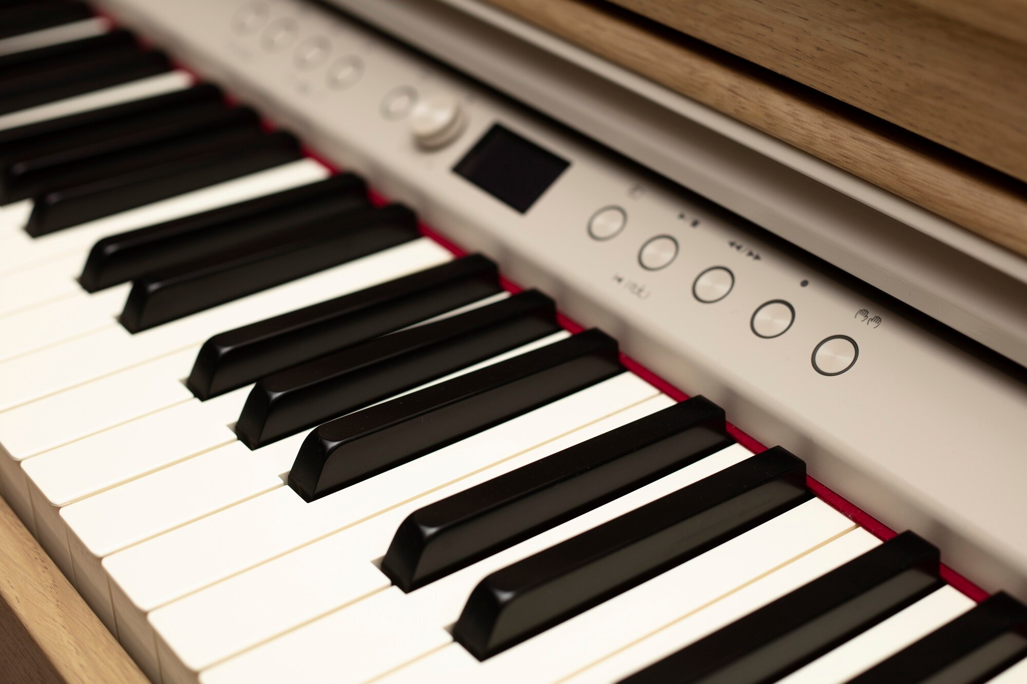 music instrument store 23 2150608894